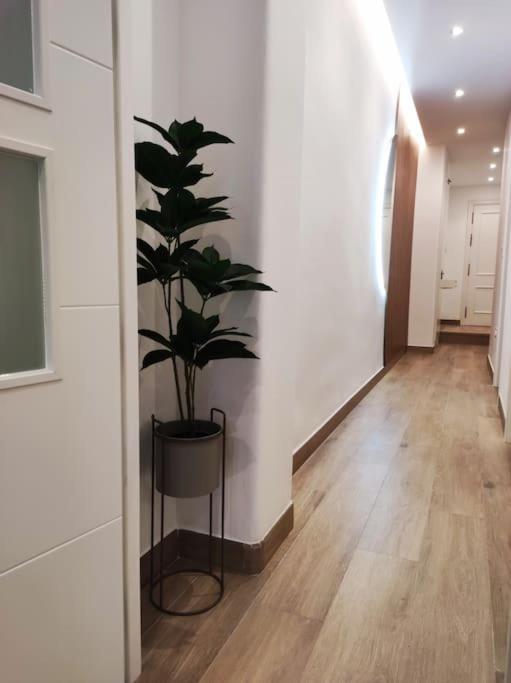 Apartamento Sierra-Sol รอนดา ภายนอก รูปภาพ